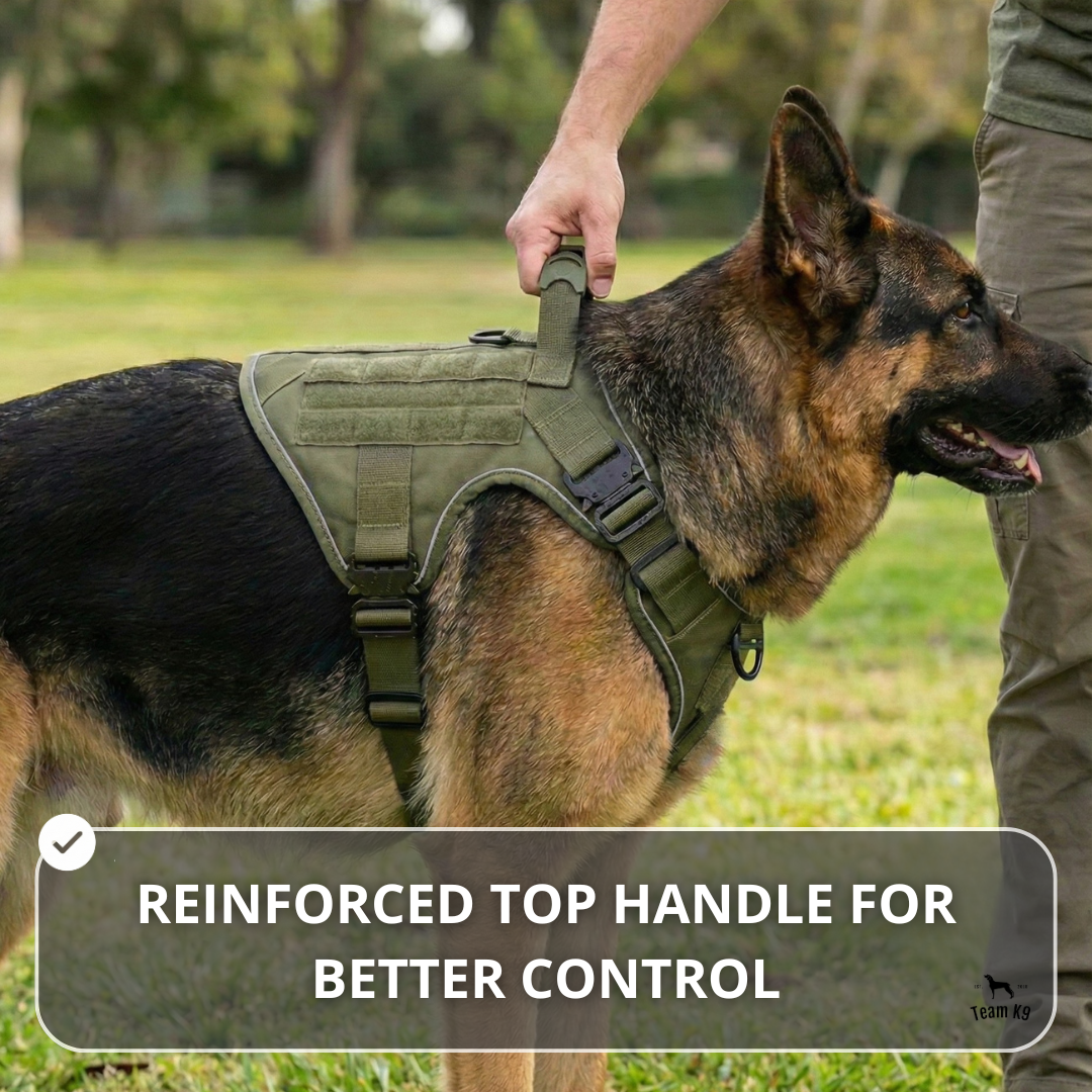 NEW Upgraded Tactical No-Pull Team K9™ Dog Harness with 4 Quick-Release Metal Buckles, Reinforced Front & Back V-Rings, Hook & Loop Panels, Adjustable Straps, Reflective Strips, & Top Handle