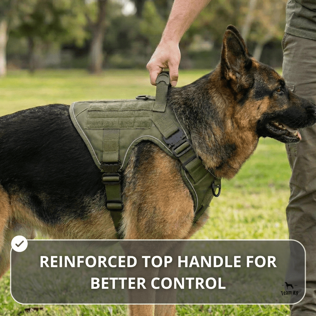 10-In-1 Tactical K9 Harness System - Full Set Dog Harness Bundle (Includes: Tactical No-Pull Dog Harness + Bungee Leash + Collar + MOLLE Pouches + First Aid Kit + 12 Hook & Loop Patches + Dog Goggles + Safety Belt + Travel Water Bowl + Dog Waste Bags)