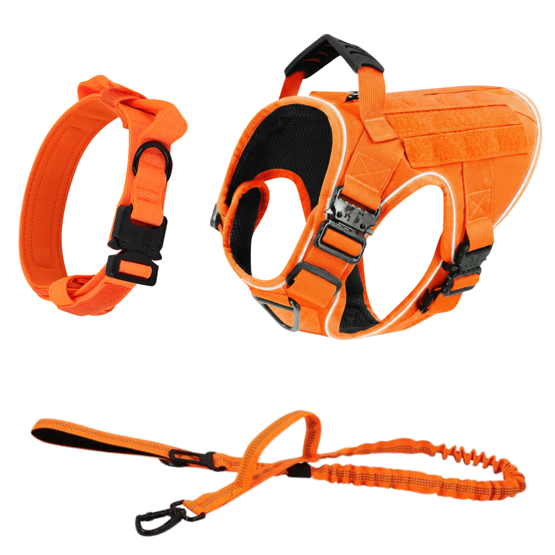 NEW Upgraded Tactical No-Pull Team K9™ Dog Harness with 4 Quick-Release Metal Buckles, Reinforced Front & Back V-Rings, Hook & Loop Panels, Adjustable Straps, Reflective Strips, & Top Handle