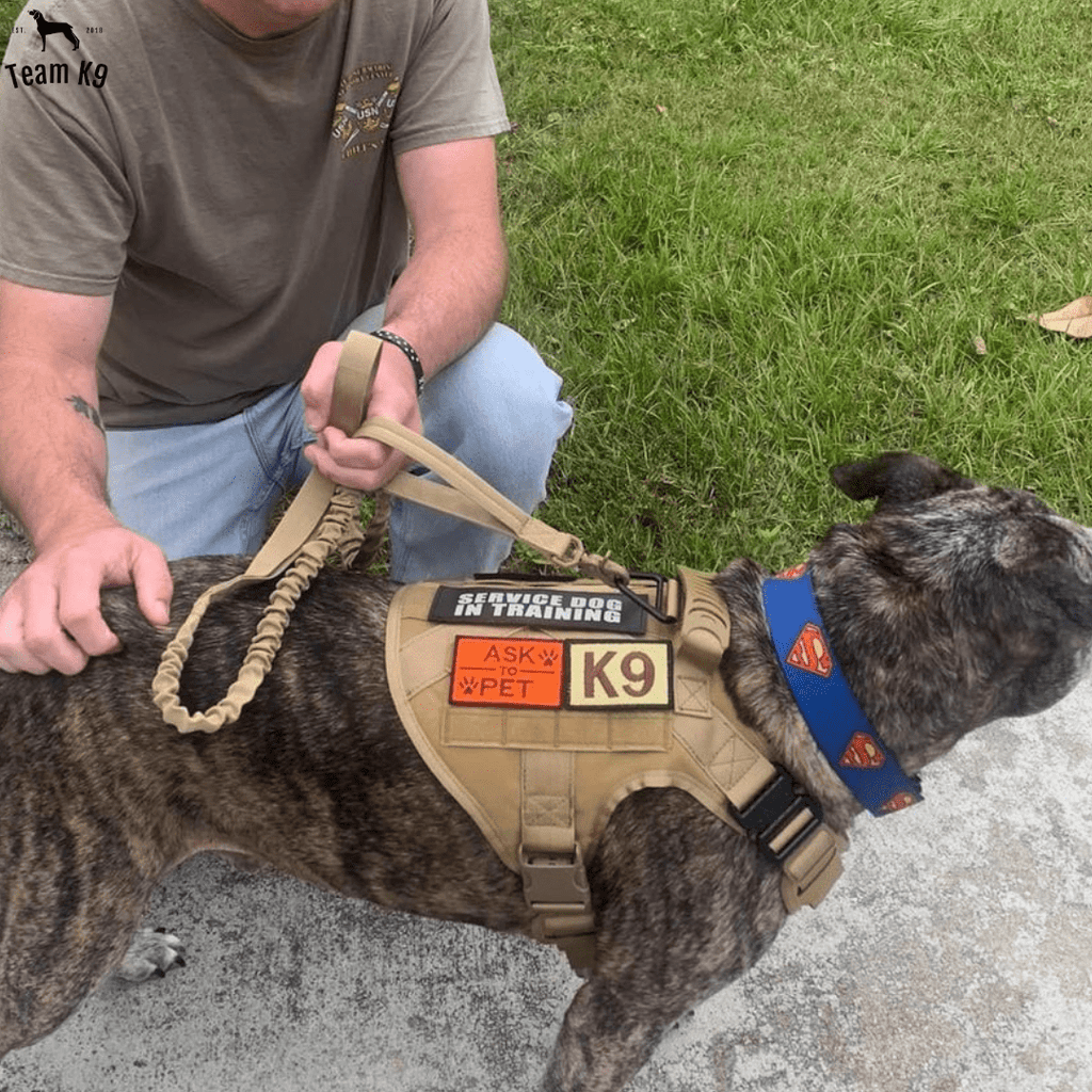 Classic Heavy-Duty Tactical No-Pull Team K9™ Dog Harness With Front & Back D-Rings, Quick-Release Metal-Buckles, Hook & Loop Panels, & Top Handle