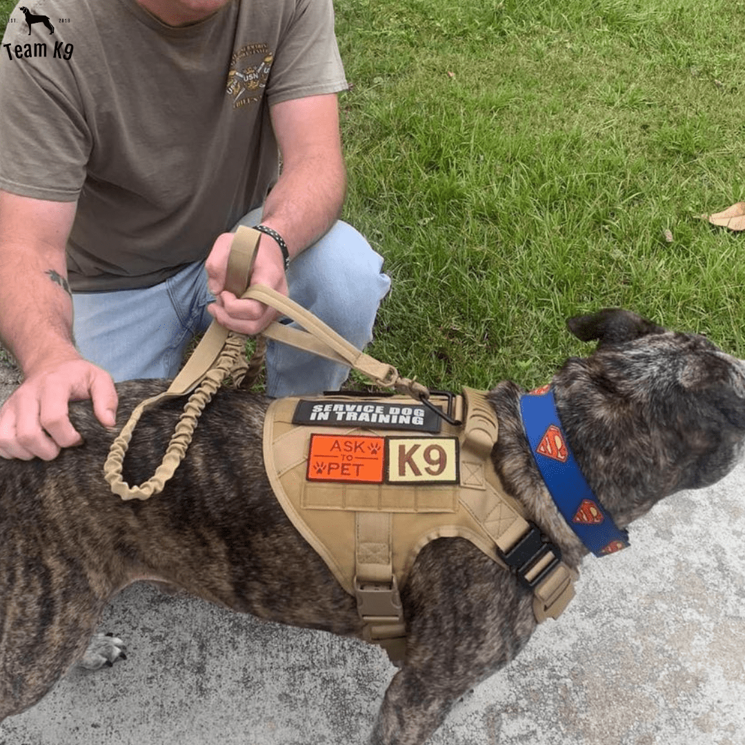Classic Heavy-Duty Tactical No-Pull Team K9™ Dog Harness With Front & Back D-Rings, Quick-Release Metal-Buckles, Hook & Loop Panels, & Top Handle