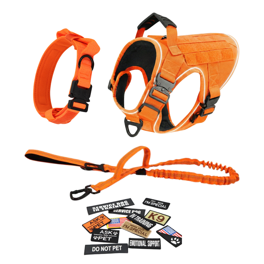 NEW Upgraded Tactical No-Pull Team K9™ Dog Harness with 4 Quick-Release Metal Buckles, Reinforced Front & Back V-Rings, Hook & Loop Panels, Adjustable Straps, Reflective Strips, & Top Handle