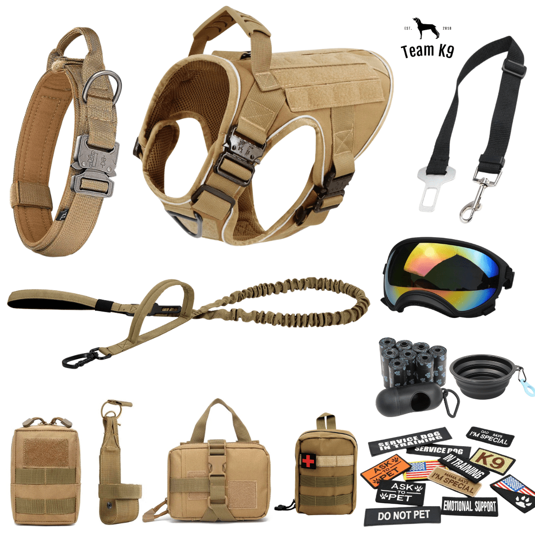 10-In-1 Tactical K9 Harness System - Full Set Dog Harness Bundle (Includes: Tactical No-Pull Dog Harness + Bungee Leash + Collar + MOLLE Pouches + First Aid Kit + 12 Hook & Loop Patches + Dog Goggles + Safety Belt + Travel Water Bowl + Dog Waste Bags)