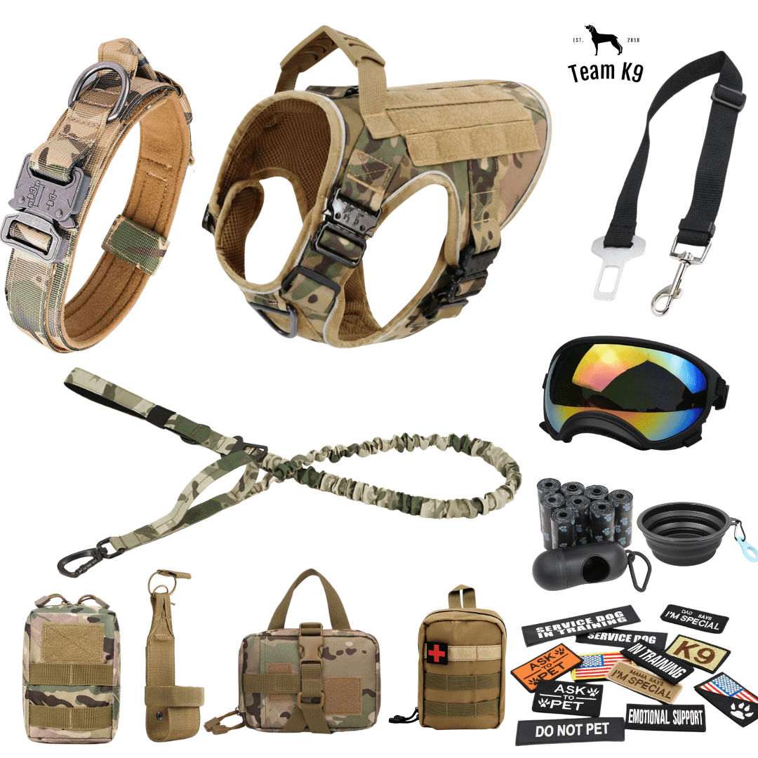 10-In-1 Tactical K9 Harness System - Full Set Dog Harness Bundle (Includes: Tactical No-Pull Dog Harness + Bungee Leash + Collar + MOLLE Pouches + First Aid Kit + 12 Hook & Loop Patches + Dog Goggles + Safety Belt + Travel Water Bowl + Dog Waste Bags)