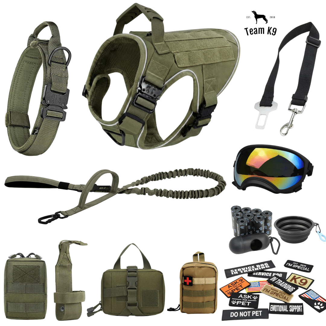 10-In-1 Tactical K9 Harness System - Full Set Dog Harness Bundle (Includes: Tactical No-Pull Dog Harness + Bungee Leash + Collar + MOLLE Pouches + First Aid Kit + 12 Hook & Loop Patches + Dog Goggles + Safety Belt + Travel Water Bowl + Dog Waste Bags)