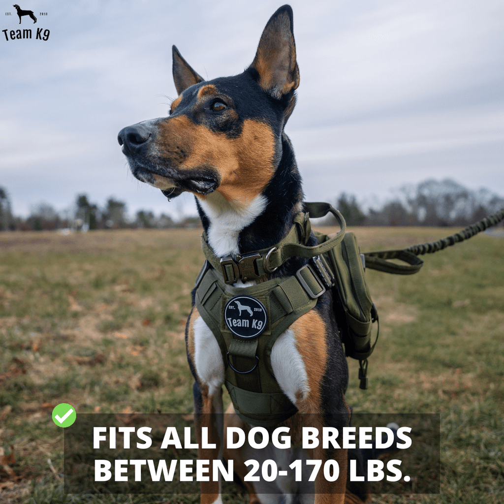 Classic Heavy-Duty Tactical No-Pull Team K9™ Dog Harness With Front & Back D-Rings, Quick-Release Metal-Buckles, Hook & Loop Panels, & Top Handle