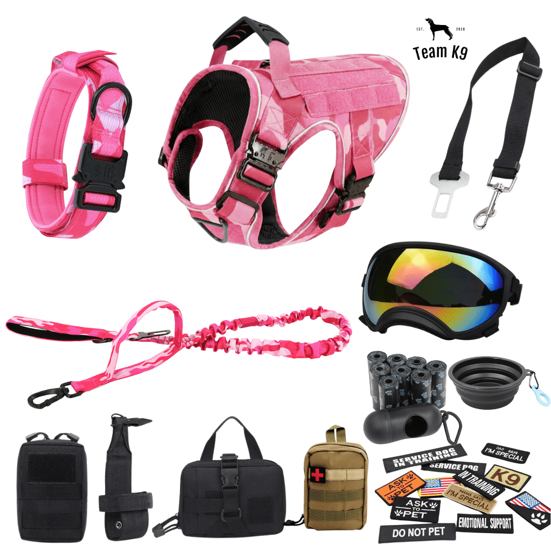 10-In-1 Tactical K9 Harness System - Full Set Dog Harness Bundle (Includes: Tactical No-Pull Dog Harness + Bungee Leash + Collar + MOLLE Pouches + First Aid Kit + 12 Hook & Loop Patches + Dog Goggles + Safety Belt + Travel Water Bowl + Dog Waste Bags)