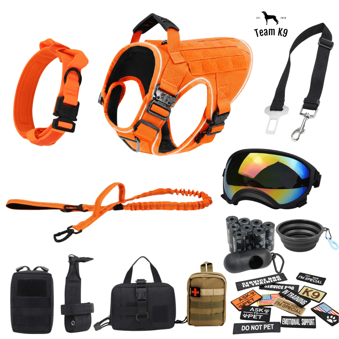 10-In-1 Tactical K9 Harness System - Full Set Dog Harness Bundle (Includes: Tactical No-Pull Dog Harness + Bungee Leash + Collar + MOLLE Pouches + First Aid Kit + 12 Hook & Loop Patches + Dog Goggles + Safety Belt + Travel Water Bowl + Dog Waste Bags)
