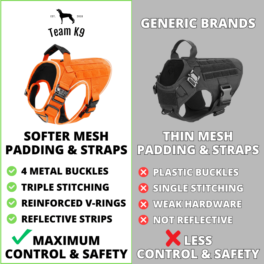 10-In-1 Tactical K9 Harness System - Full Set Dog Harness Bundle (Includes: Tactical No-Pull Dog Harness + Bungee Leash + Collar + MOLLE Pouches + First Aid Kit + 12 Hook & Loop Patches + Dog Goggles + Safety Belt + Travel Water Bowl + Dog Waste Bags)