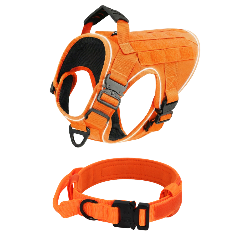 NEW Upgraded Tactical No-Pull Team K9™ Dog Harness with 4 Quick-Release Metal Buckles, Reinforced Front & Back V-Rings, Hook & Loop Panels, Adjustable Straps, Reflective Strips, & Top Handle