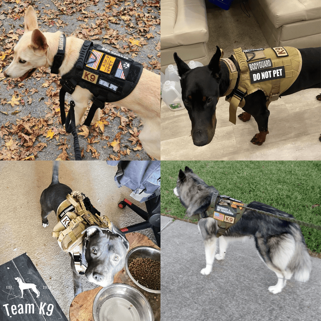 Classic Heavy-Duty Tactical No-Pull Team K9™ Dog Harness With Front & Back D-Rings, Quick-Release Metal-Buckles, Hook & Loop Panels, & Top Handle