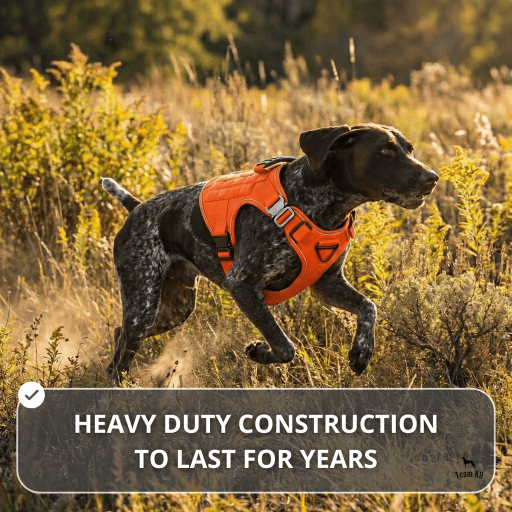 10-In-1 Tactical K9 Harness System - Full Set Dog Harness Bundle (Includes: Tactical No-Pull Dog Harness + Bungee Leash + Collar + MOLLE Pouches + First Aid Kit + 12 Hook & Loop Patches + Dog Goggles + Safety Belt + Travel Water Bowl + Dog Waste Bags)
