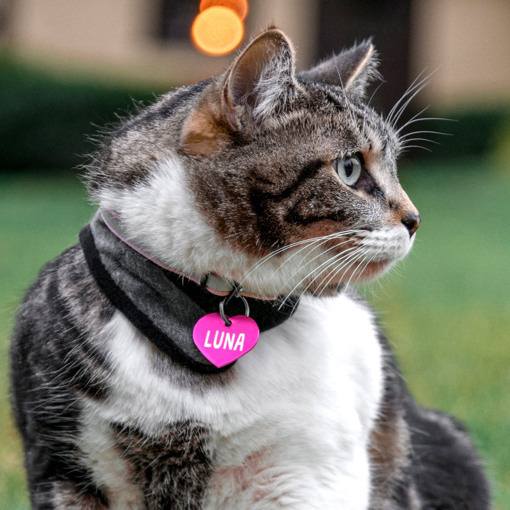 Heart Shaped Pet ID Tag