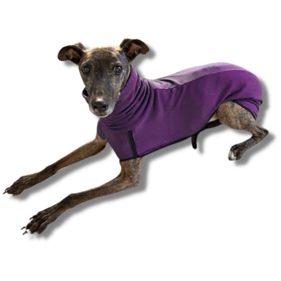 Fleece Sighthound Base-Layer Coat with Underbelly and Snood