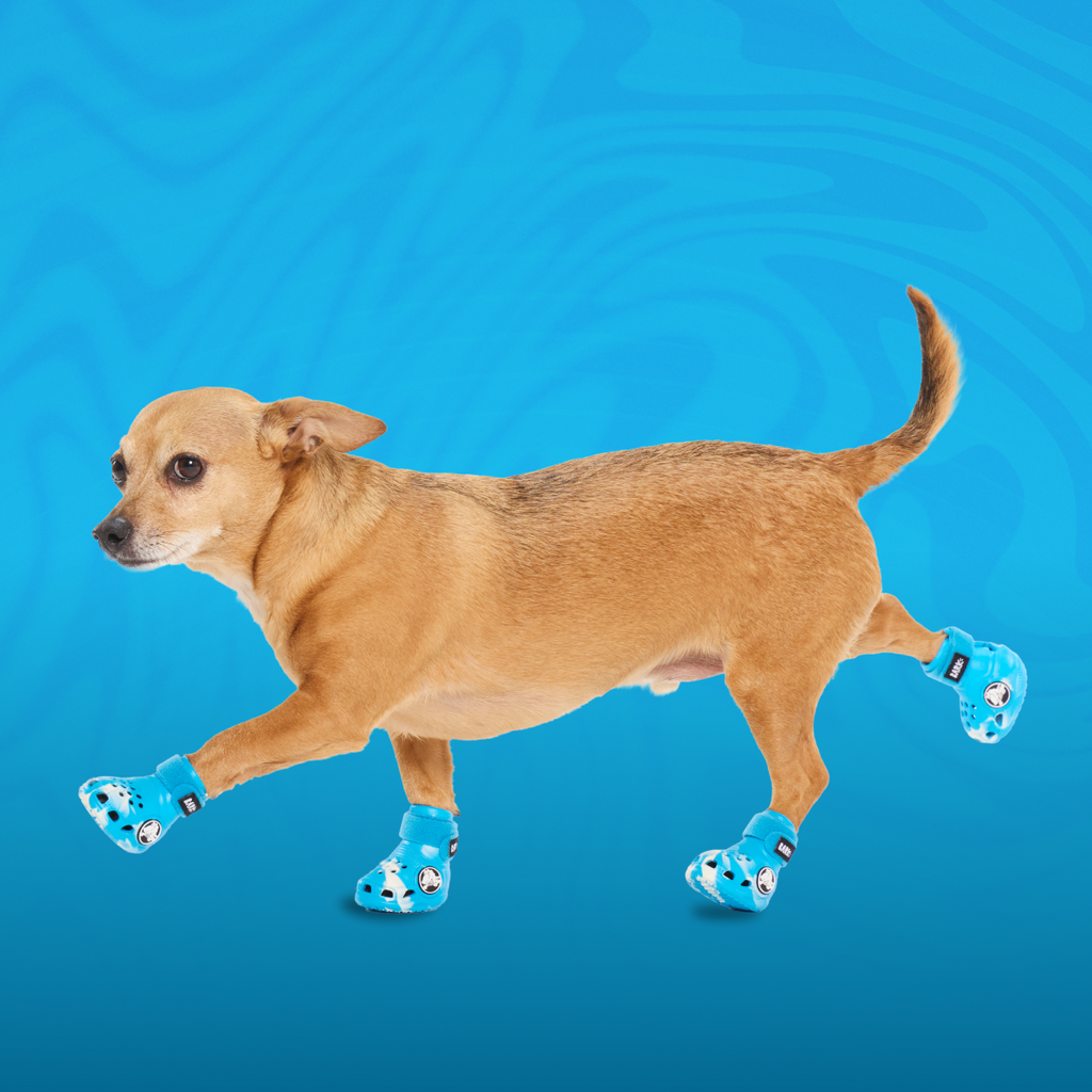 Crocs™ Shoes For Dogs