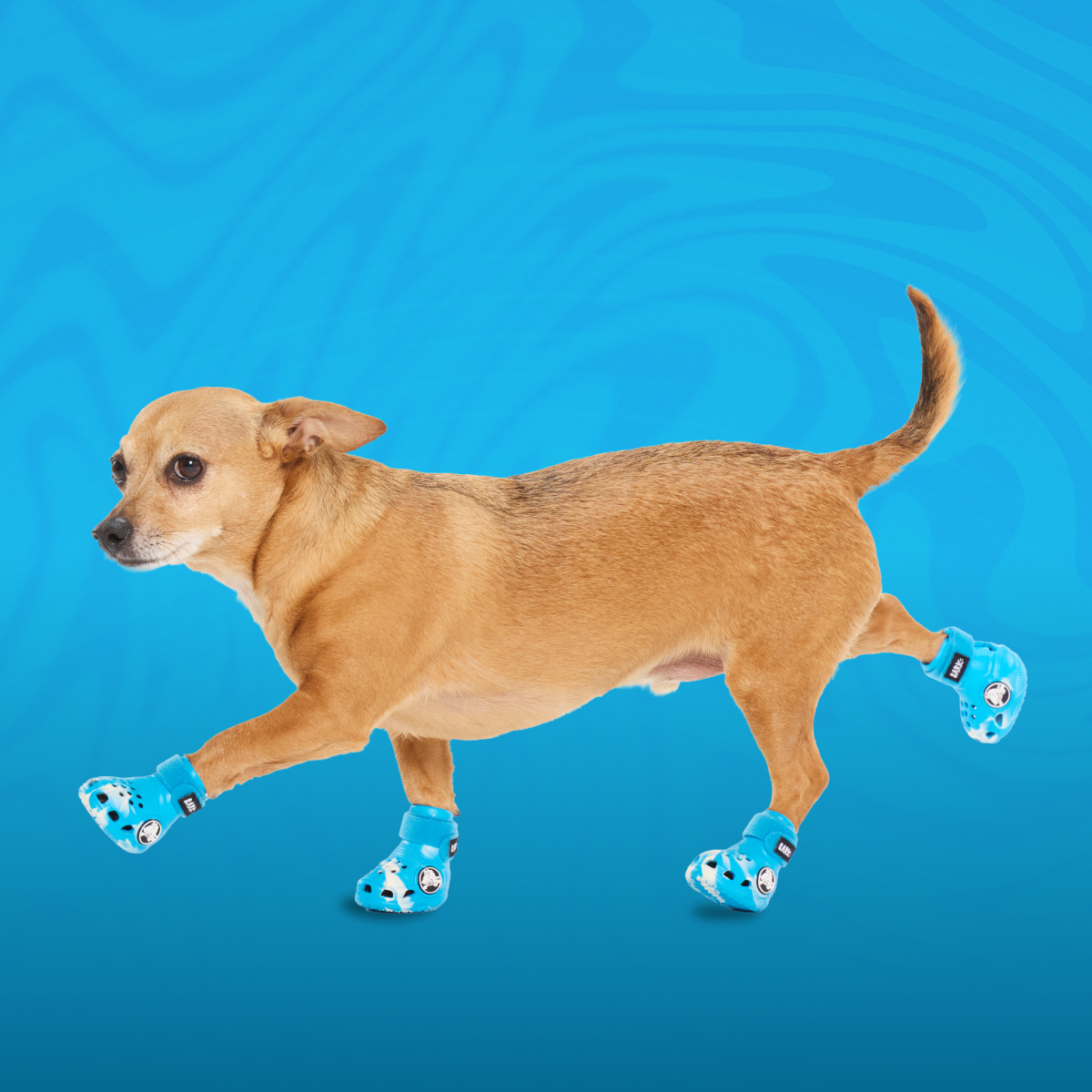 Crocs™ Shoes For Dogs