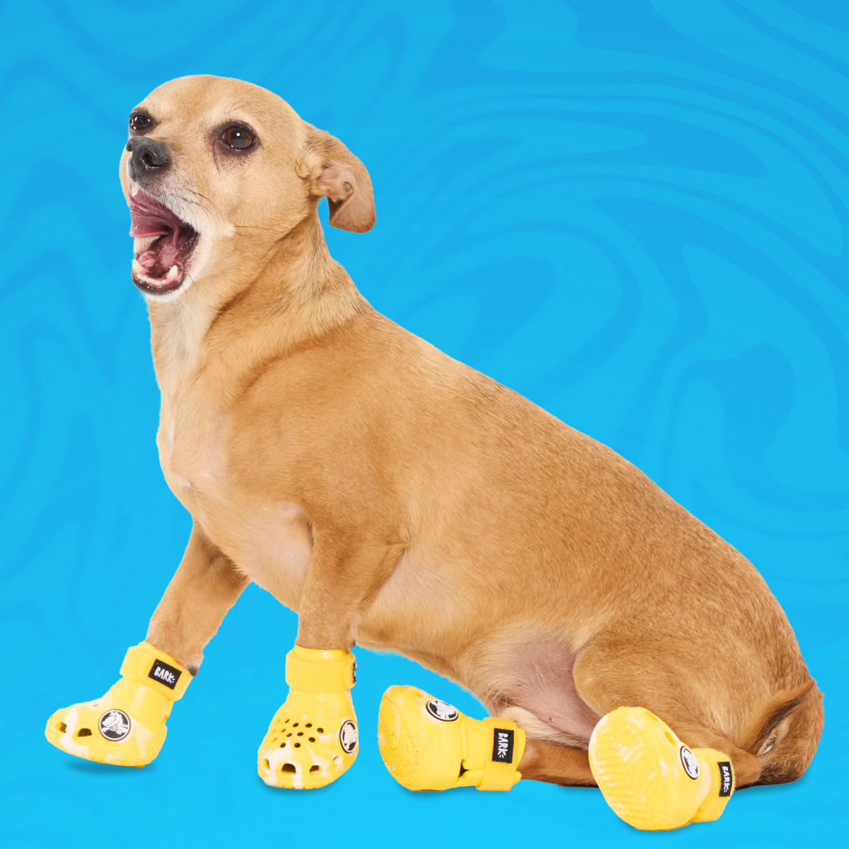 Crocs™ Shoes For Dogs