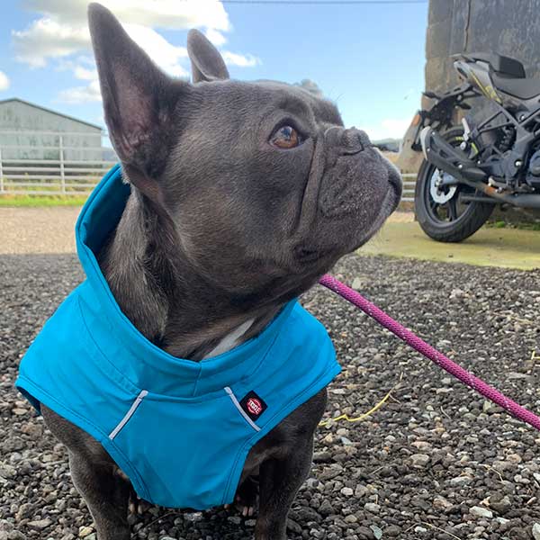 Vimy & DryDogs Lightweight Waterproof Raincoat with Harness Hole Zip