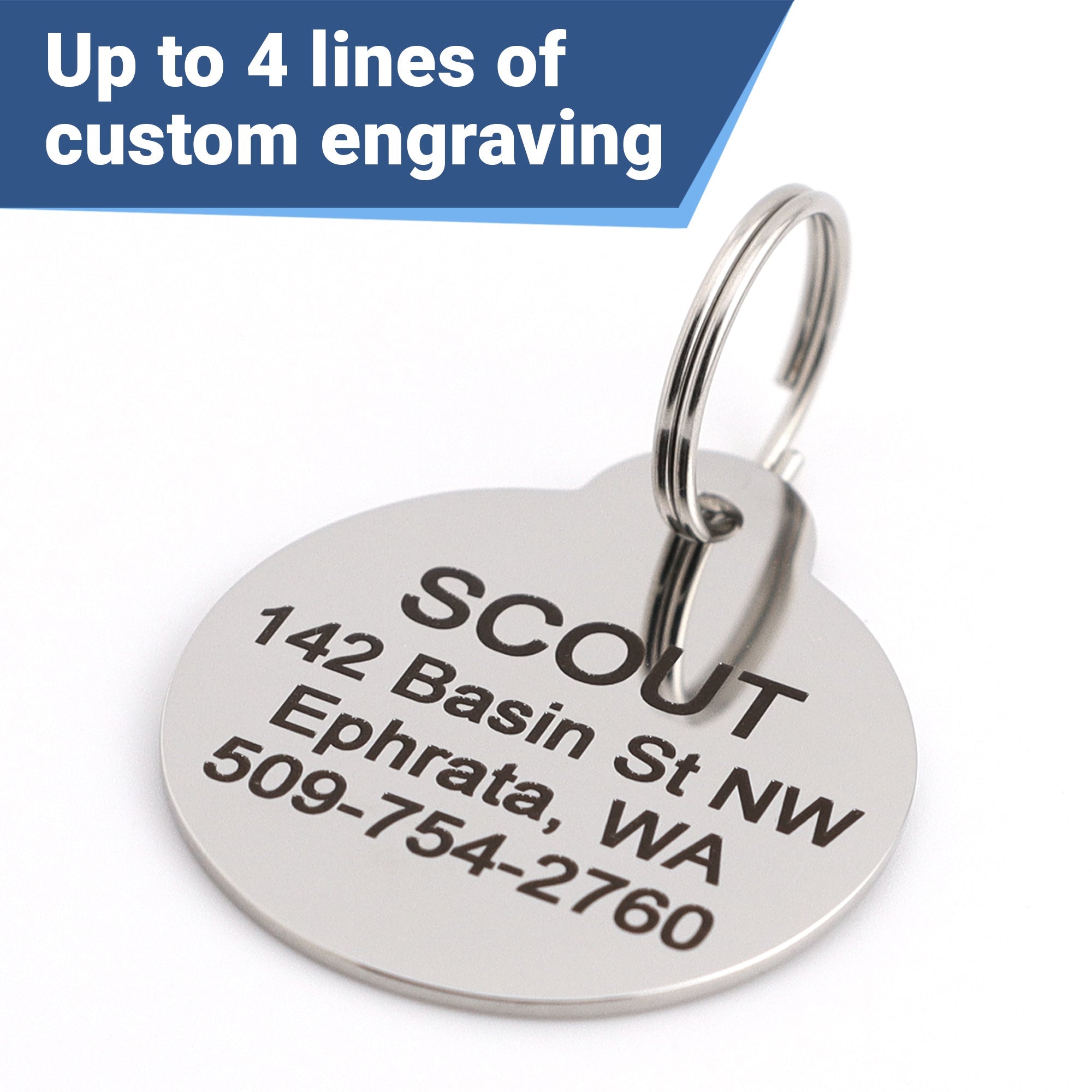 Glitter Paw Print Pet ID Tags in Stainless Steel