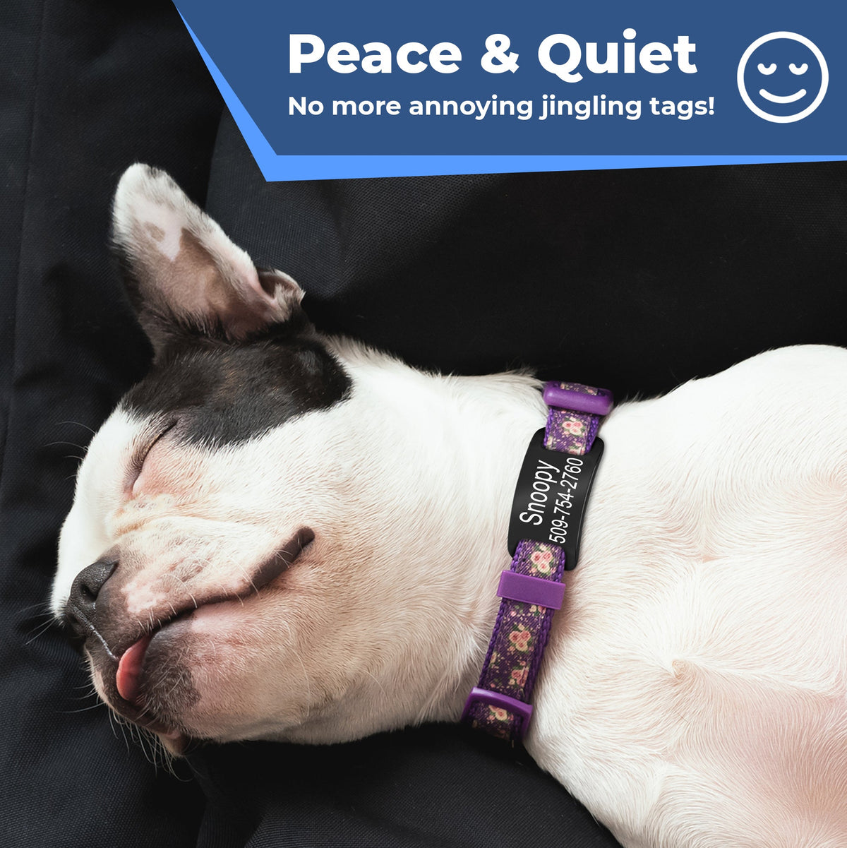 Silent Slide-On Pet Tags for Dogs and Cats, Stainless Steel in 7 Colors