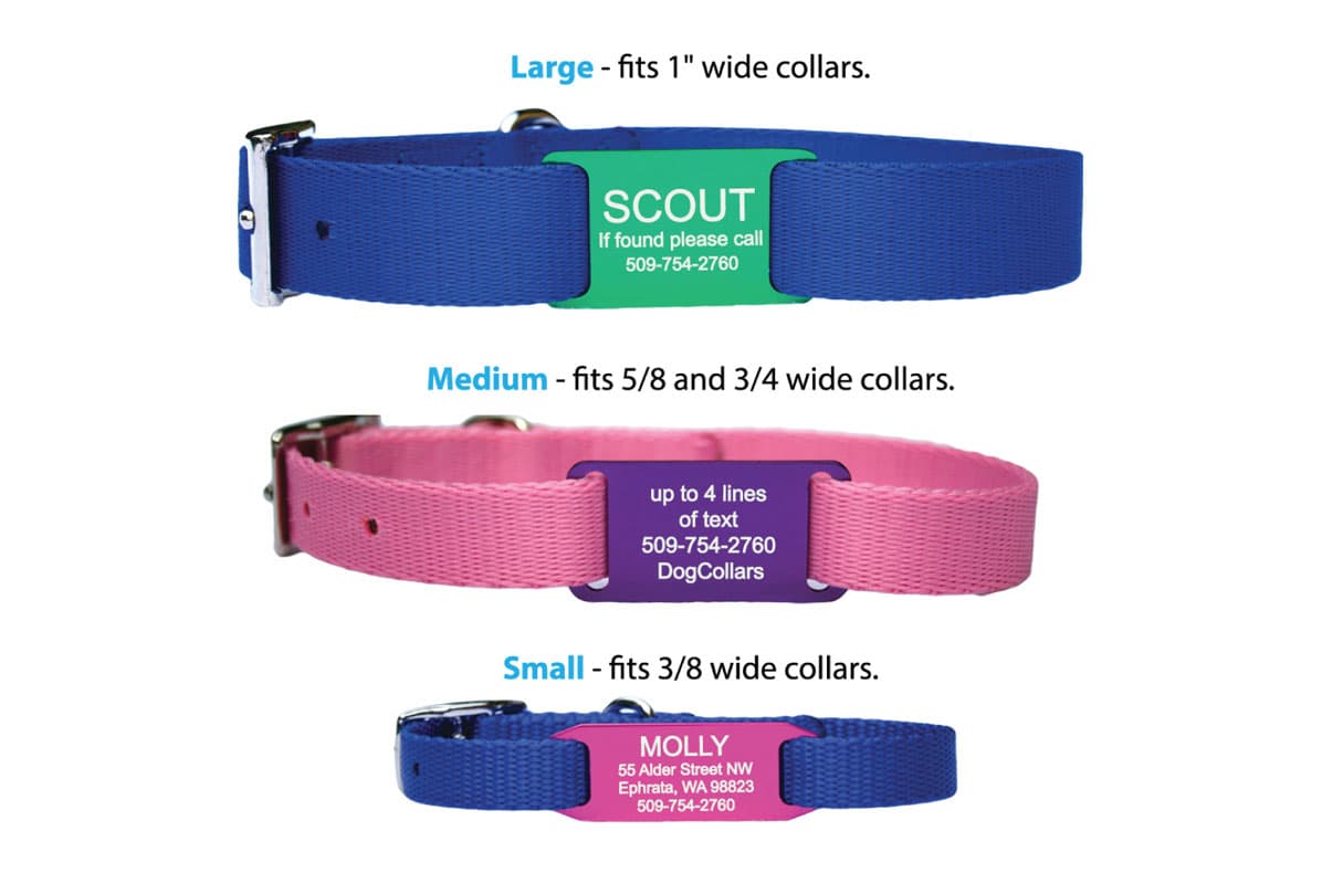 Slide-On Dog Tags
