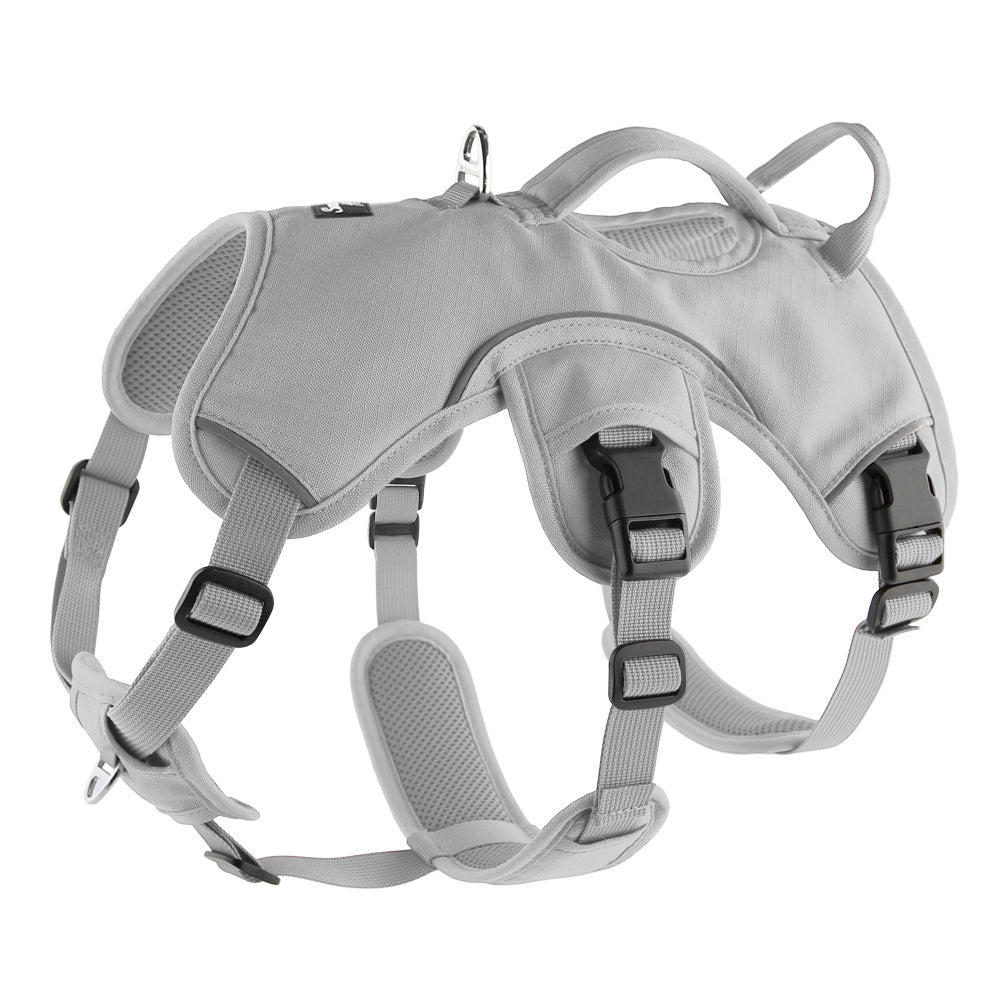 Sighthound Harness | Whippets, Greyhounds & Lurchers | Escape Proof