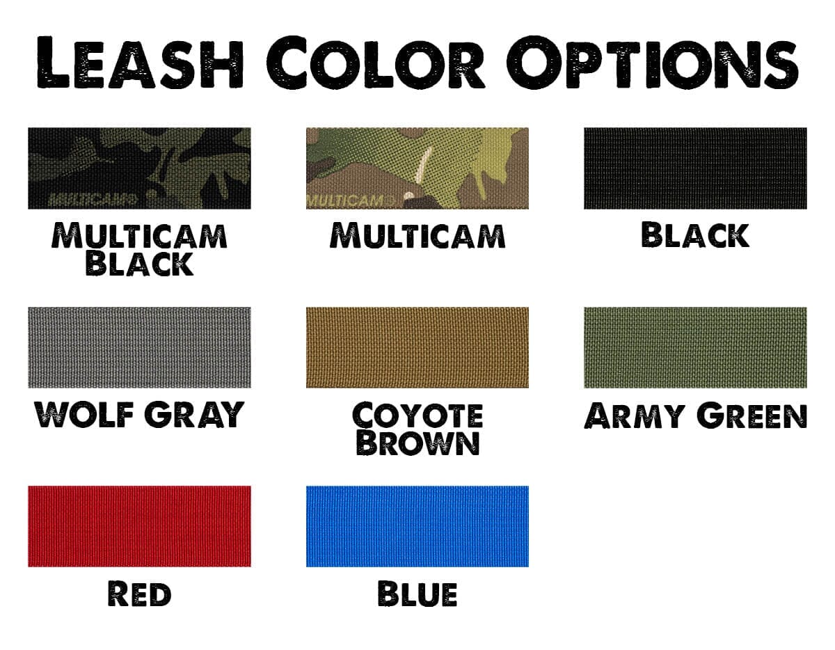Extreme Traffic Leash with Swivel