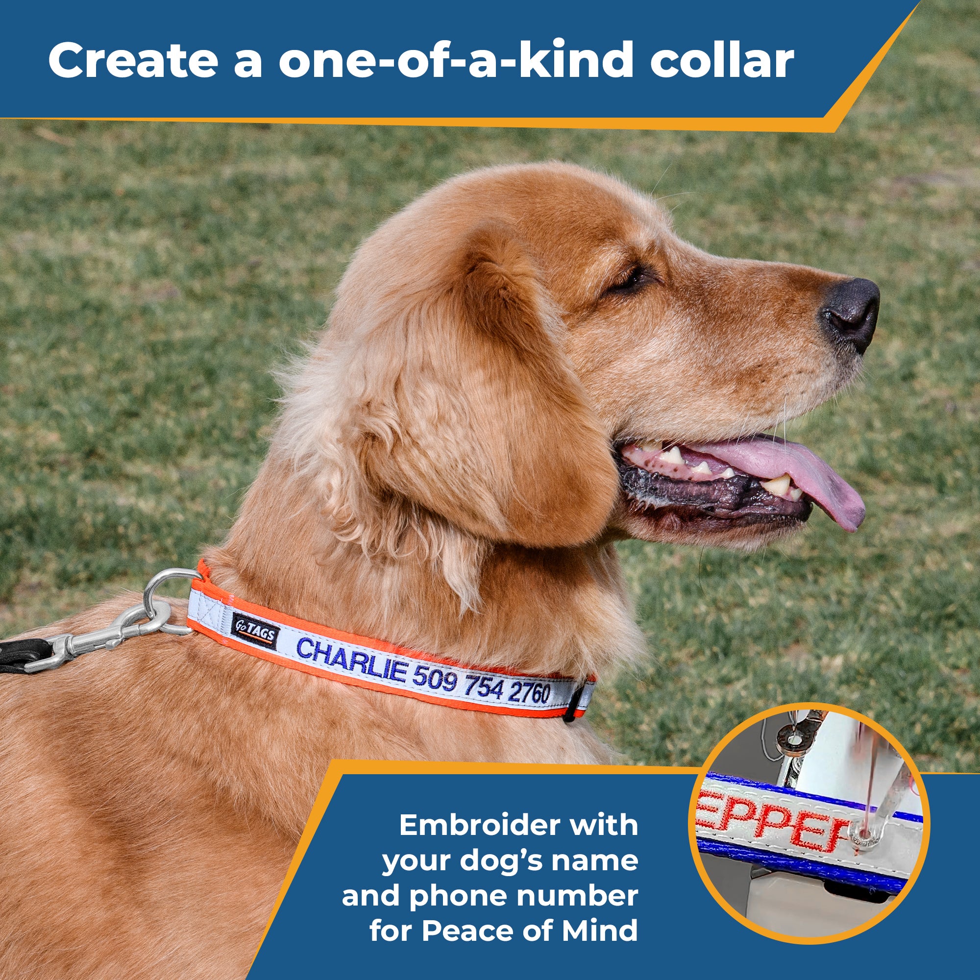 Personalized Reflective Dog Collar with Quick Release Buckle, Embroidered