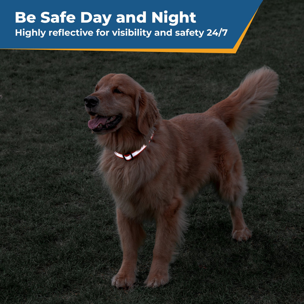 Personalized Reflective Dog Collar with Quick Release Buckle, Embroidered