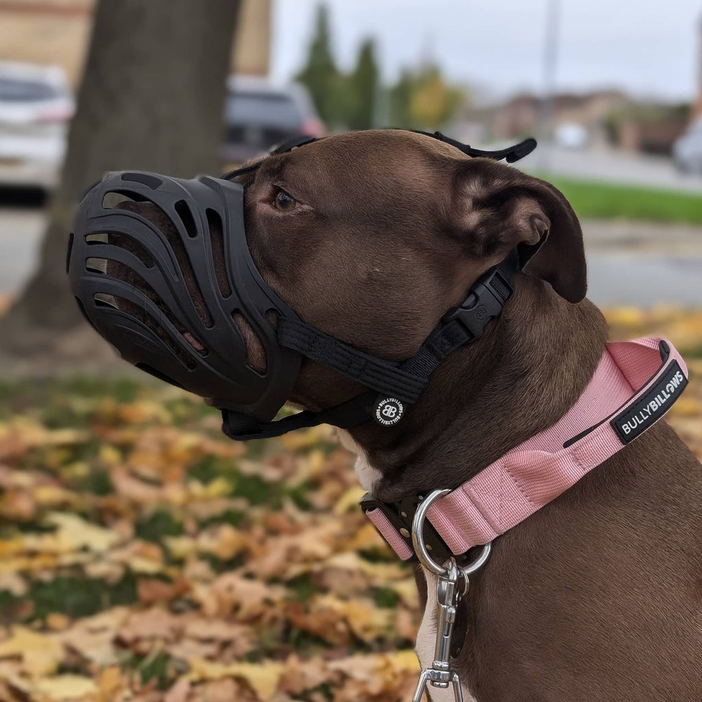 Muzzle | Flexi & Legal Requirement - S-XL Breeds - Black