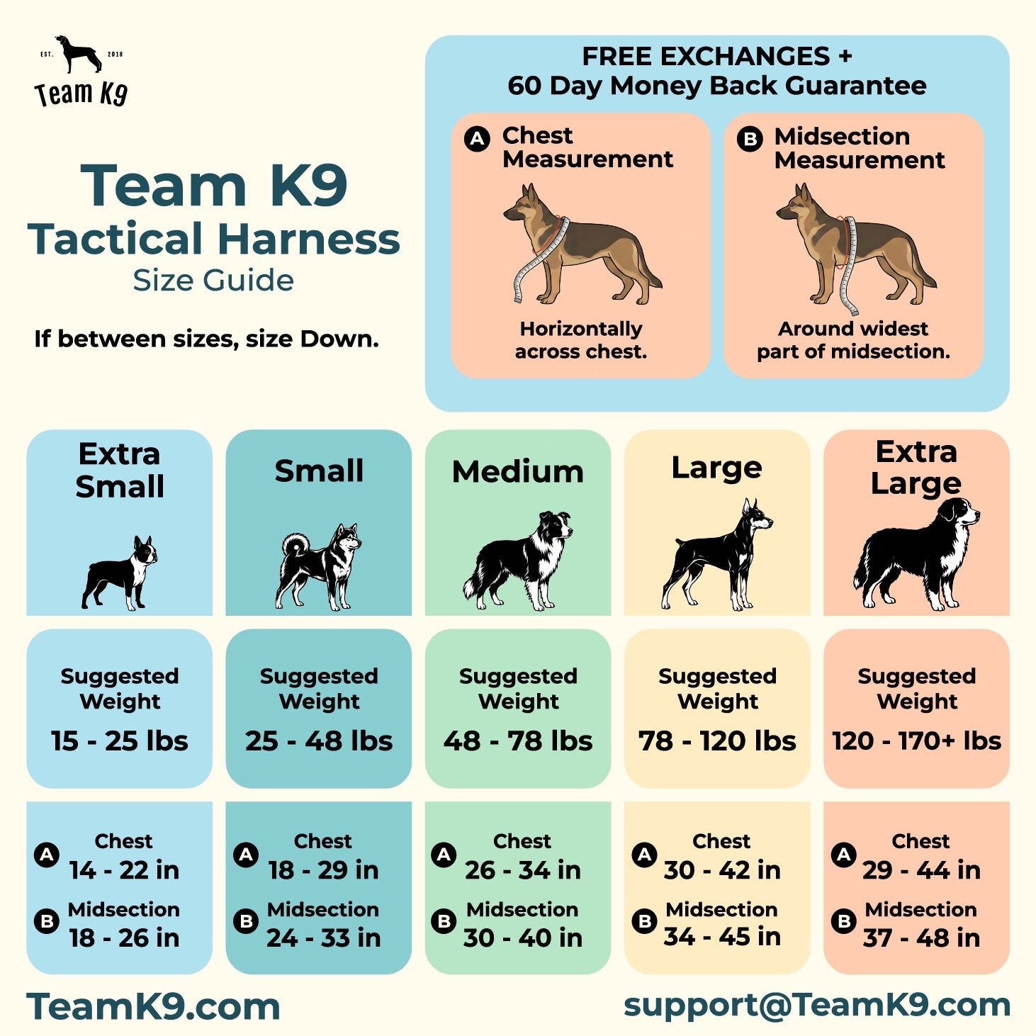 10-In-1 Tactical K9 Harness System - Full Set Dog Harness Bundle (Includes: Tactical No-Pull Dog Harness + Bungee Leash + Collar + MOLLE Pouches + First Aid Kit + 12 Hook & Loop Patches + Dog Goggles + Safety Belt + Travel Water Bowl + Dog Waste Bags)