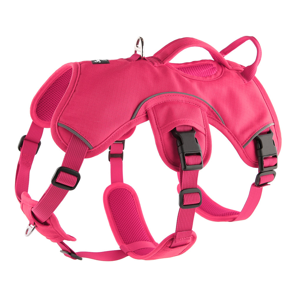 Sighthound Harness | Whippets, Greyhounds & Lurchers | Escape Proof
