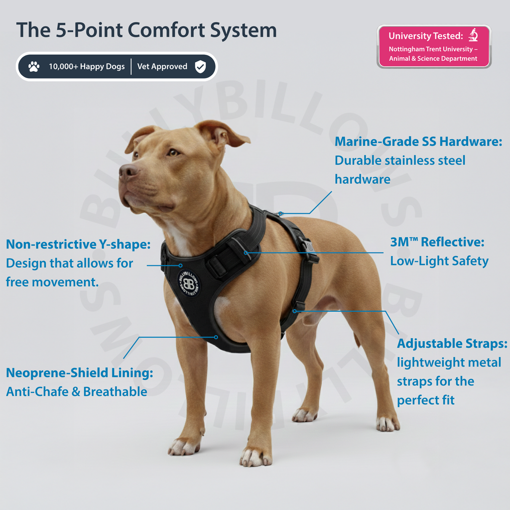 Comfort Premium Harness | Non Restrictive - Black