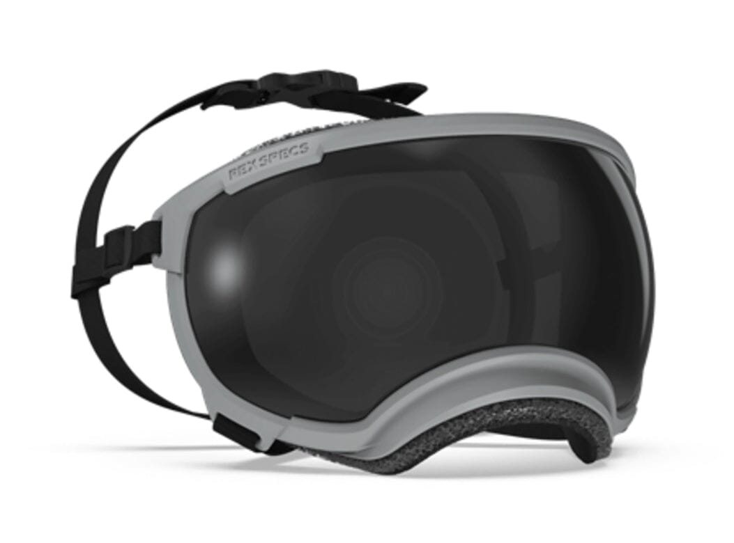 Rex Specs V2 Dog Goggles