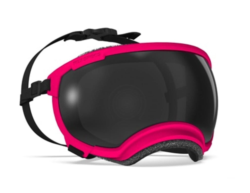 Rex Specs V2 Dog Goggles