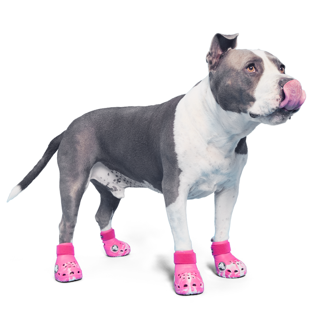 Crocs™ Shoes For Dogs