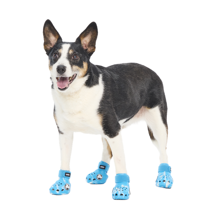 Crocs™ Shoes For Dogs