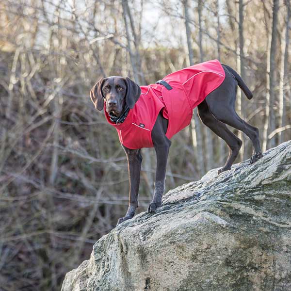 Vimy & DryDogs Lightweight Waterproof Raincoat with Harness Hole Zip