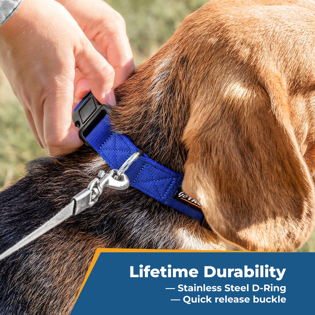 Embroidered Personalized Dog Collar with Quick Release Buckle