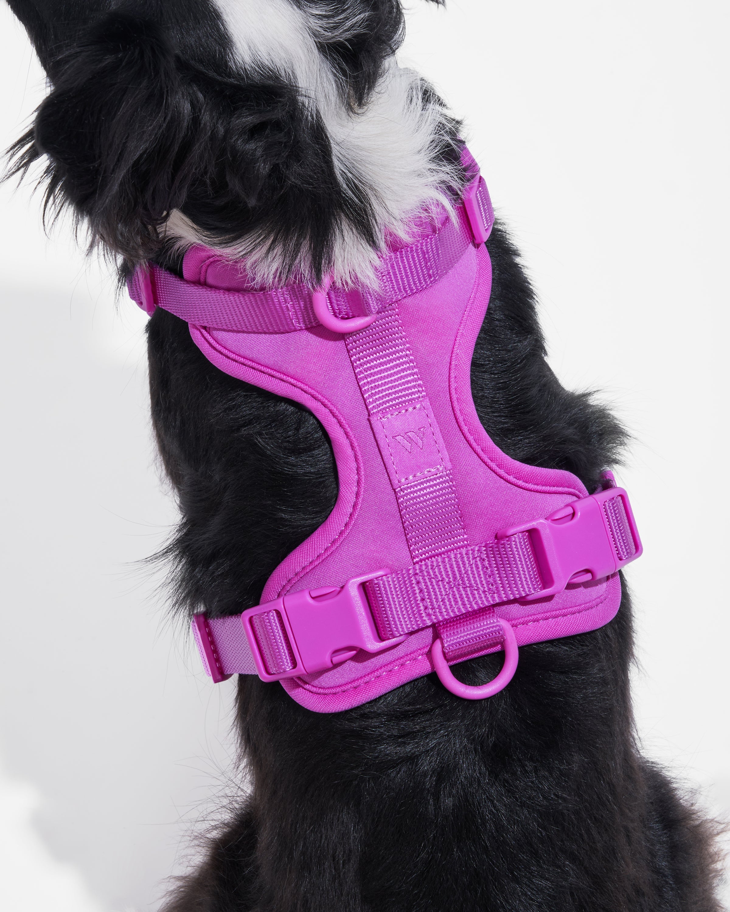 Cushioned Dog Harness