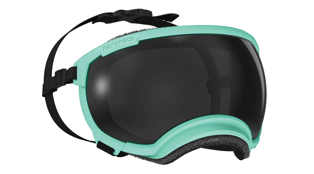 Rex Specs V2 Dog Goggles