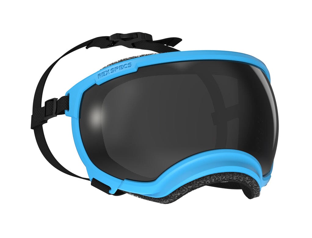 Rex Specs V2 Dog Goggles