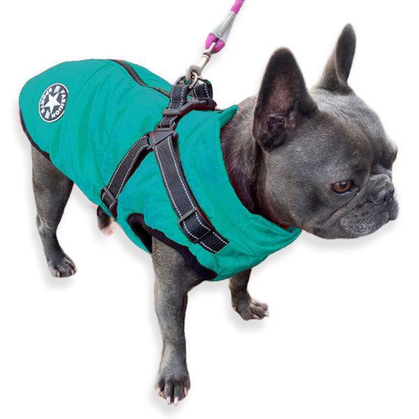 Wintro - Quilted Waterproof Dog Coat with Harness Built In