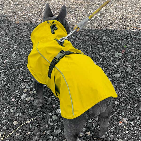 Vimy & DryDogs Lightweight Waterproof Raincoat with Harness Hole Zip
