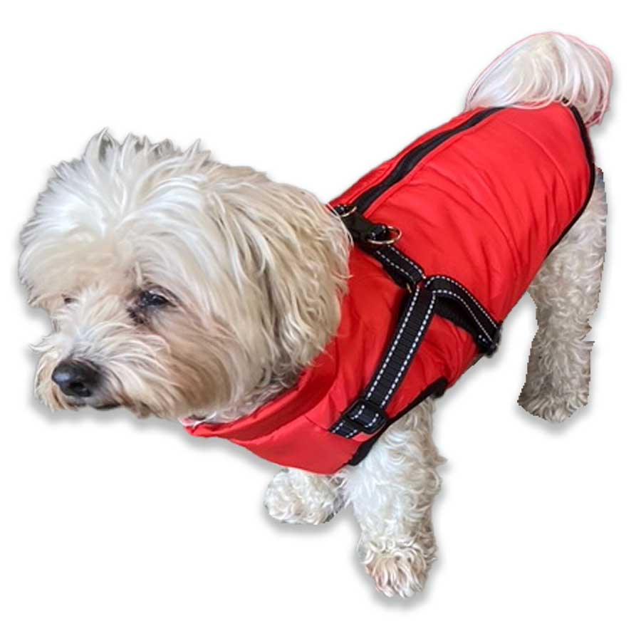 Wintro - Quilted Waterproof Dog Coat with Harness Built In