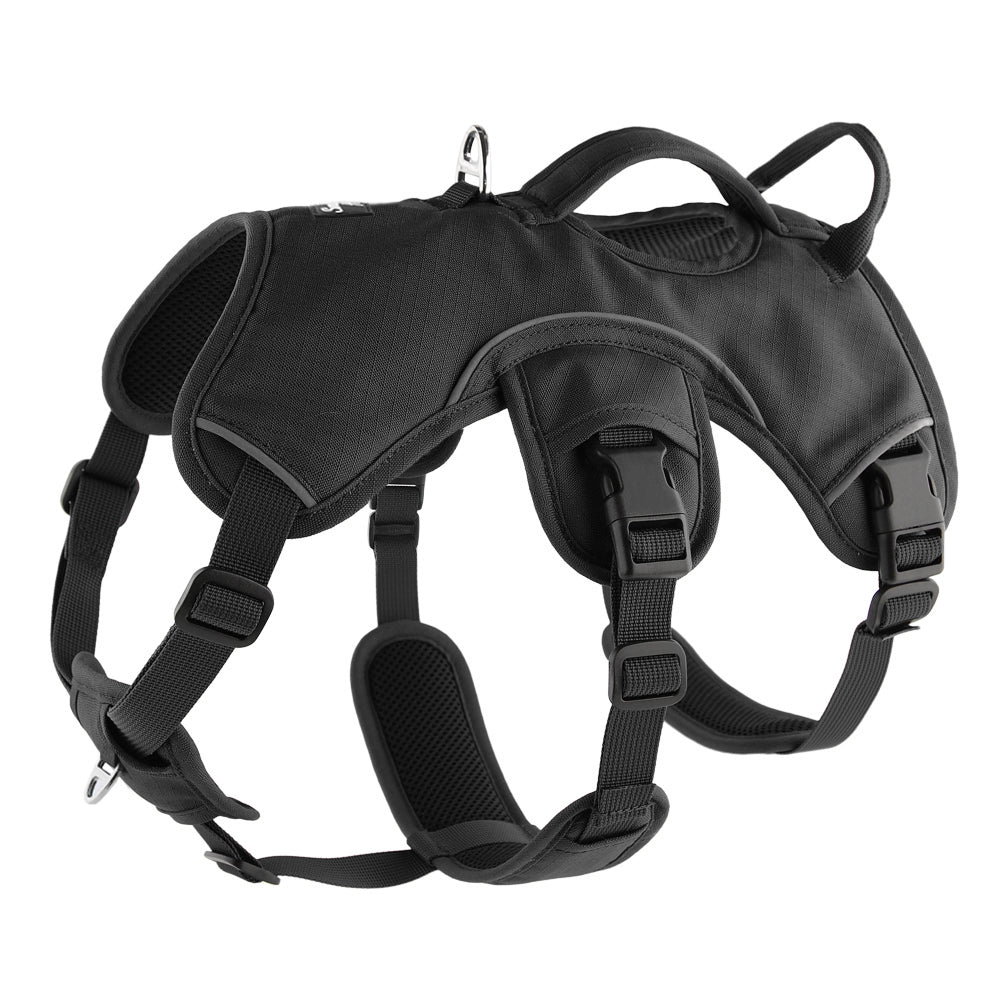 Sighthound Harness | Whippets, Greyhounds & Lurchers | Escape Proof