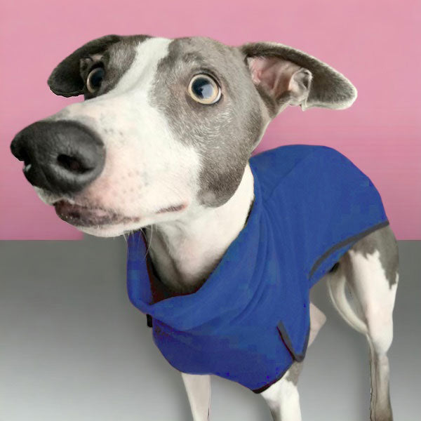 Fleece Sighthound Base-Layer Coat with Underbelly and Snood