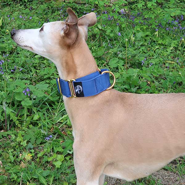 Martingale Collars - Soft with Brassed Fittings