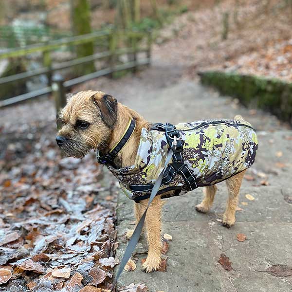 Wintro - Quilted Waterproof Dog Coat with Harness Built In