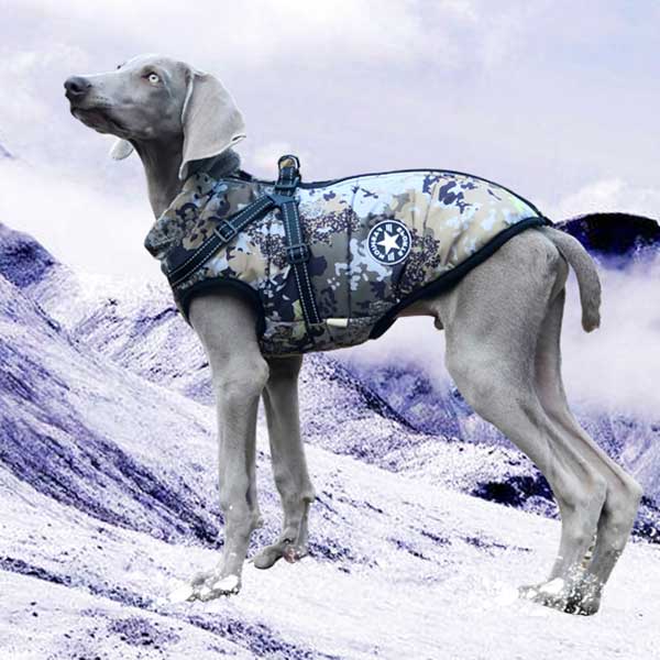 Wintro - Quilted Waterproof Dog Coat with Harness Built In